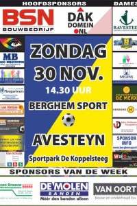 berghemsport30novposter