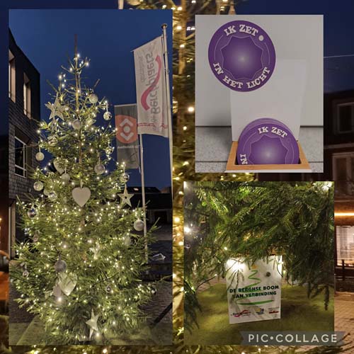 bergsekerstboom