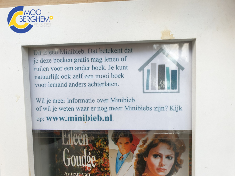 mini bieb tuureind03