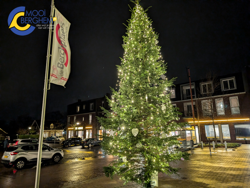 Kom kijken bij de Boom van Verbinding!