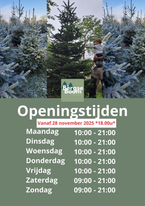 bergseboom2025 3