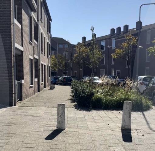 Heb jij een groen idee voor jouw straat of buurt? Maak dan gebruik van de subsidie!
