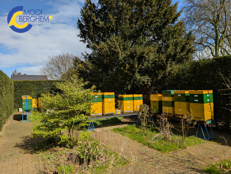 PXL 20260328 104031789