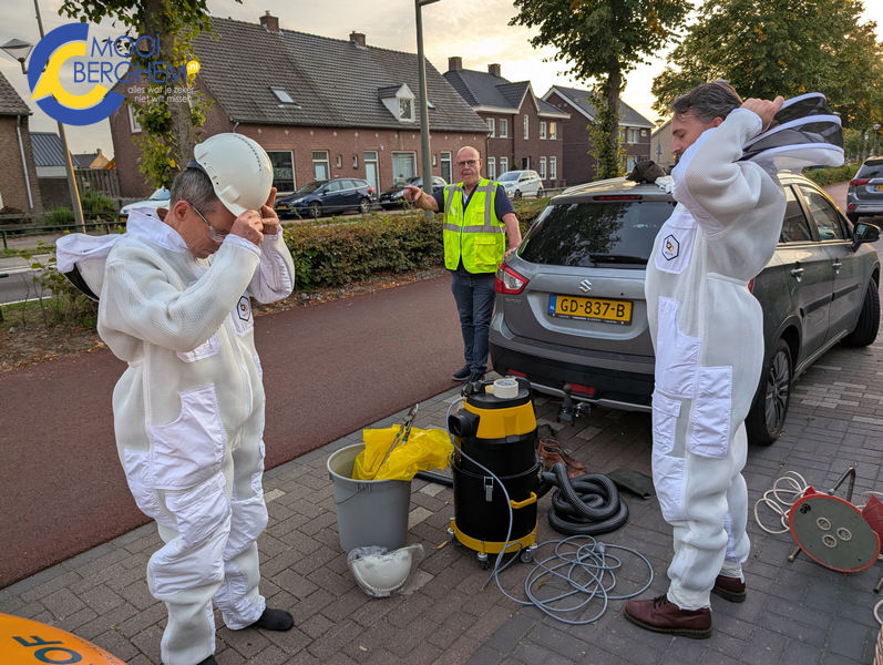 Wegafzetting voor insect; Aziatische hoornaar nu ook in Berghem actief!