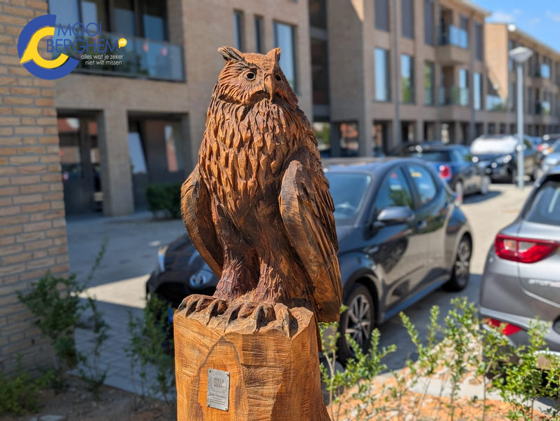 Van overlastboom naar blikvanger: Residentie Gielen krijgt bijzonder kunstwerk