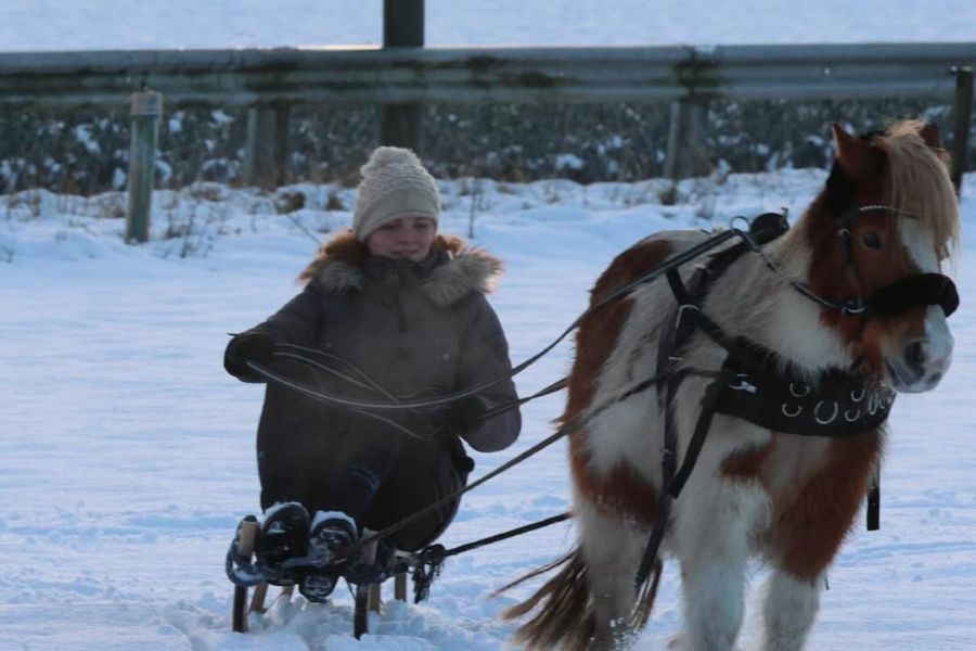 611615125 1554093512526850 4595771390310732566 n