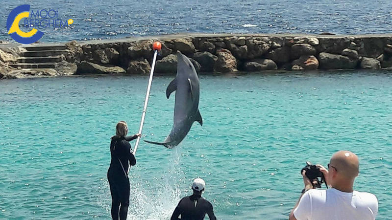 curacaovandeheijden05