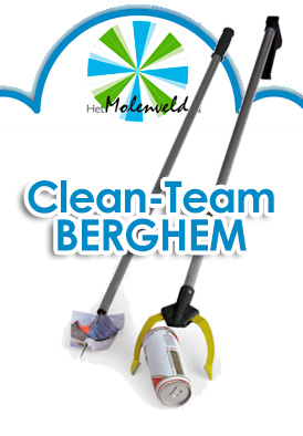cleanteam