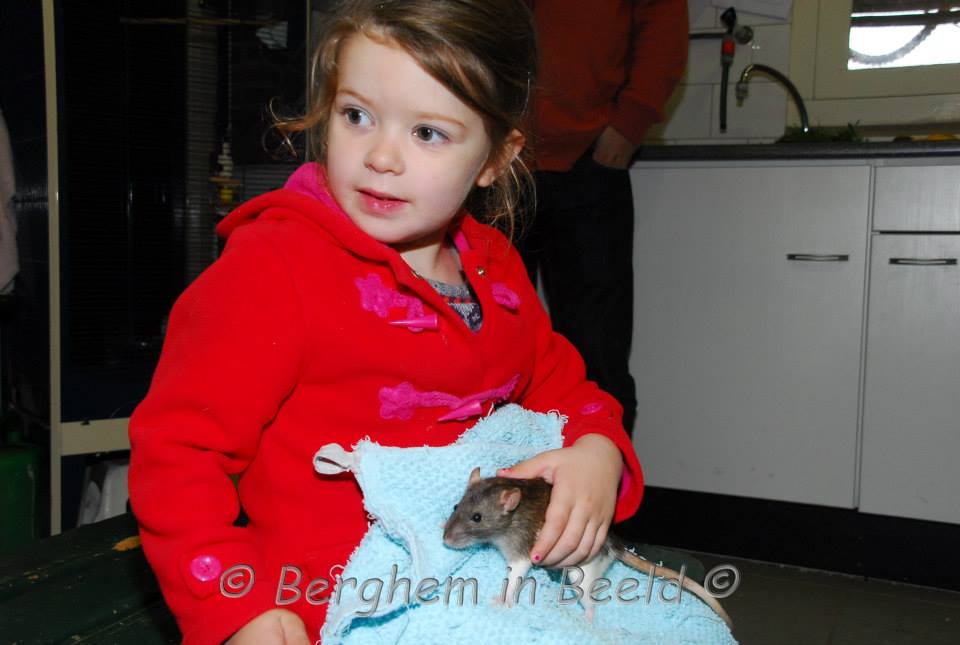 dierendag03
