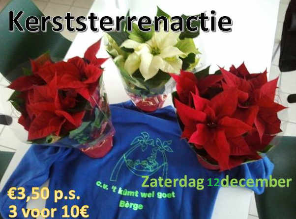 Kerststerren2016 2
