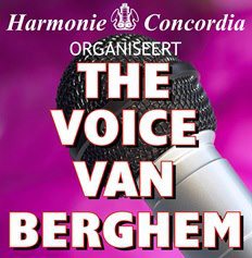 voicevanberghem