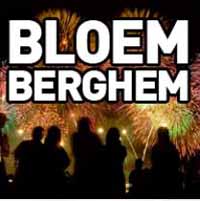 bloemvuurwerk