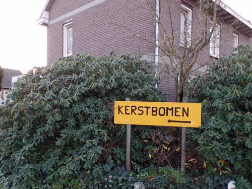 kerstbomenvossenbos01
